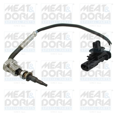 Sensor, exhaust gas temperature